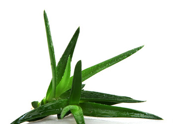 Similar image 8193343