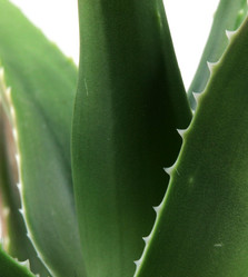 Similar image 8193344