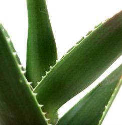 Similar image 8193345