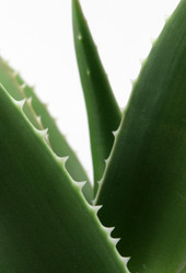 Similar image 8193348