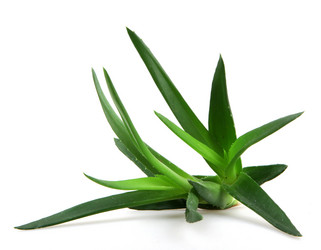 Similar image 8193349