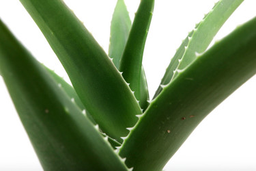 Similar image 8193350