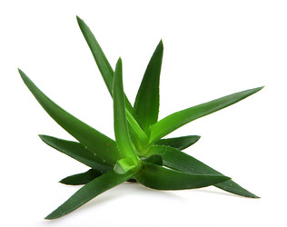 Similar image 8193351