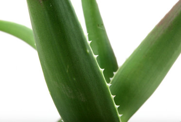 Similar image 8193352