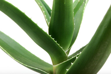 Similar image 8193353