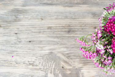 Similar image 8193356