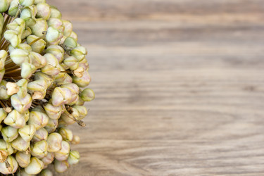 Similar image 8193370