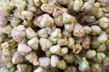 Similar image 8193371