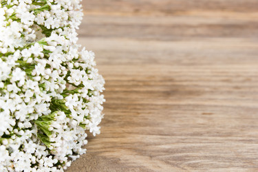 Similar image 8193373