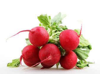 Similar image 8193379