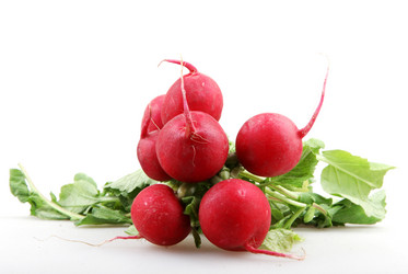 Similar image 8193380