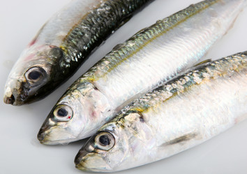 Similar image 8193382