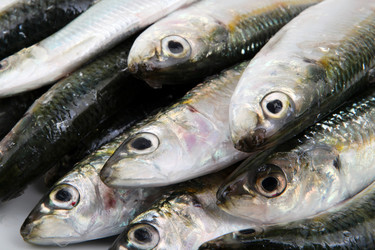 Similar image 8193383