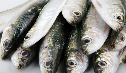 Similar image 8193385