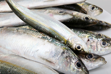 Similar image 8193386