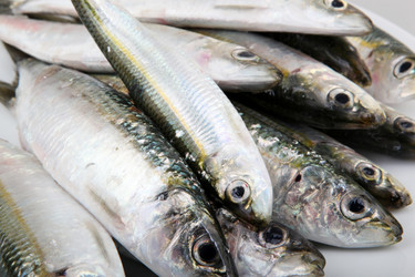 Similar image 8193387