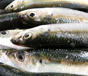 Similar image 8193388