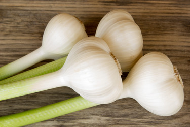 Similar image 8193414