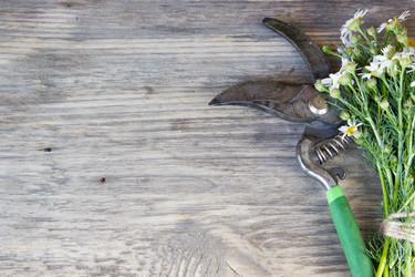 Similar image 8193431