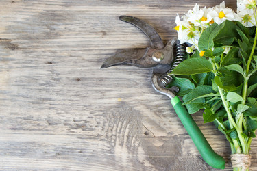 Similar image 8193432