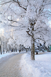 Similar image 8193441