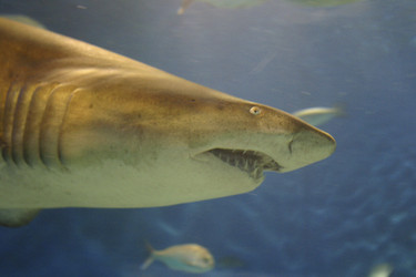 Similar image 8193444