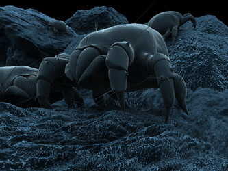 Similar image 8193456