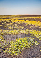 Similar image 8193498