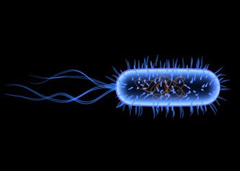 Similar image 8193502