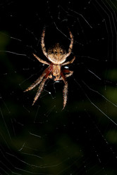 Similar image 8193609