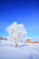 Similar image 8193693