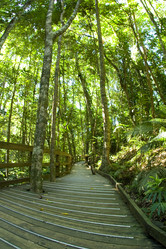 Similar image 8193699