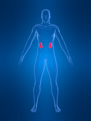 Similar image 8193726