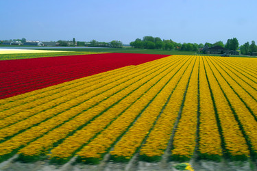 Similar image 8193727