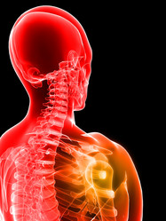 Similar image 8193756