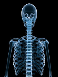 Similar image 8193783