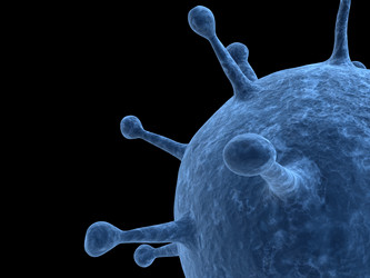 Similar image 8193805