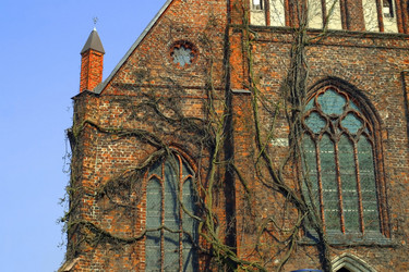 Similar image 8193830