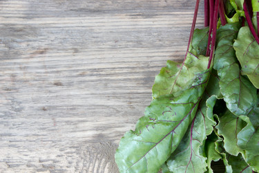 Similar image 8193862