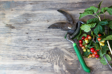 Similar image 8193867