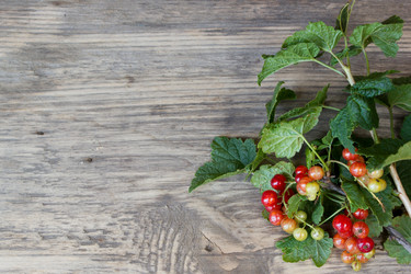 Similar image 8193868