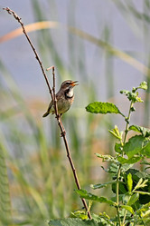 Similar image 8193887