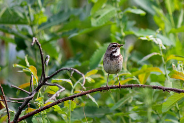 Similar image 8193888