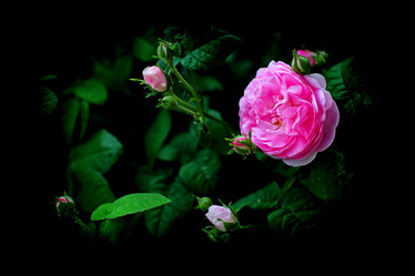 Similar image 8193889