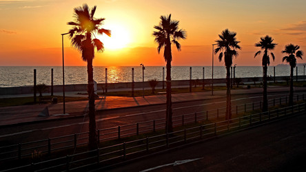 Similar image 8193890