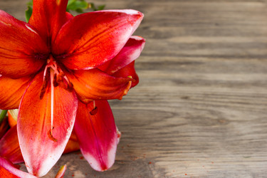 Similar image 8193903