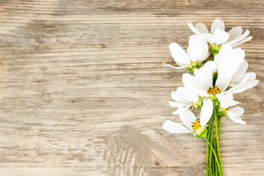 Similar image 8193905