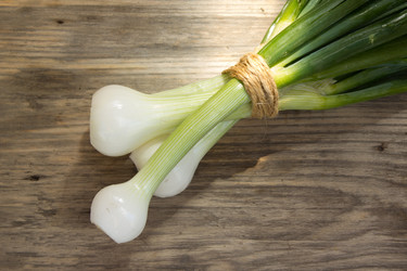 Similar image 8193923