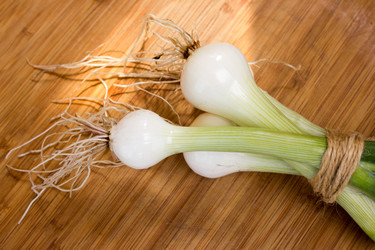 Similar image 8193927