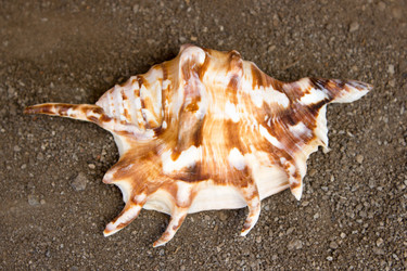 Similar image 8193928